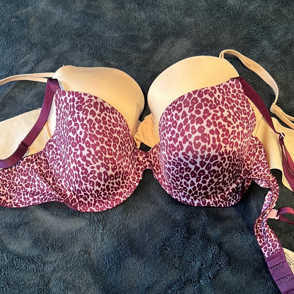 36C bras